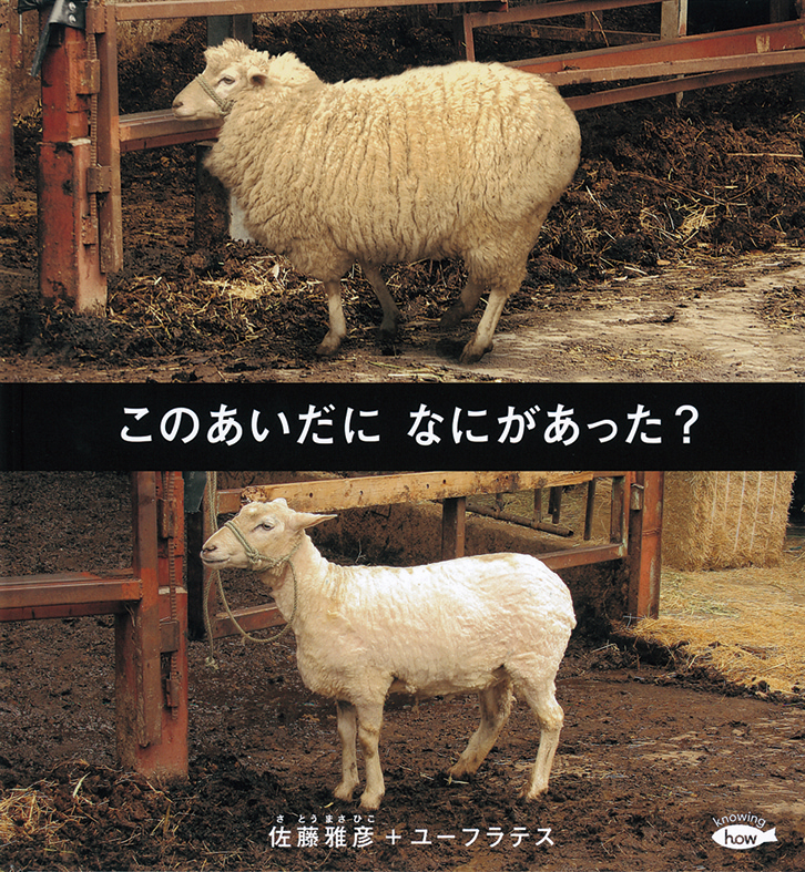 このあいだに なにがあった ? 